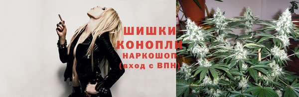 мдпв Нея