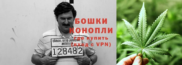мдпв Нея
