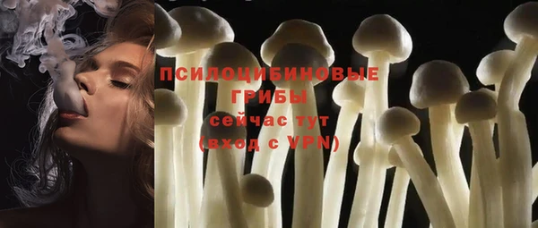 мдпв Нея