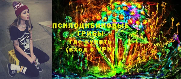 мдпв Нея